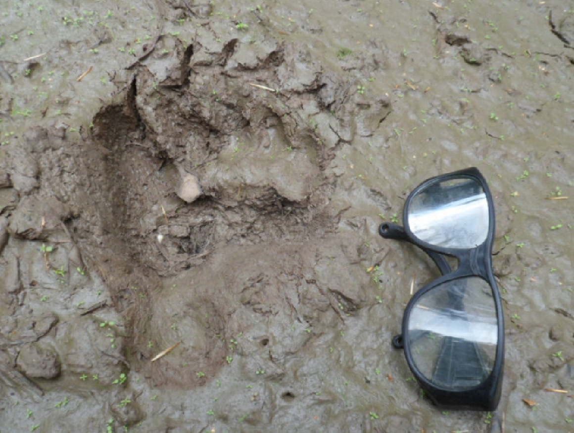 Фотографии автора