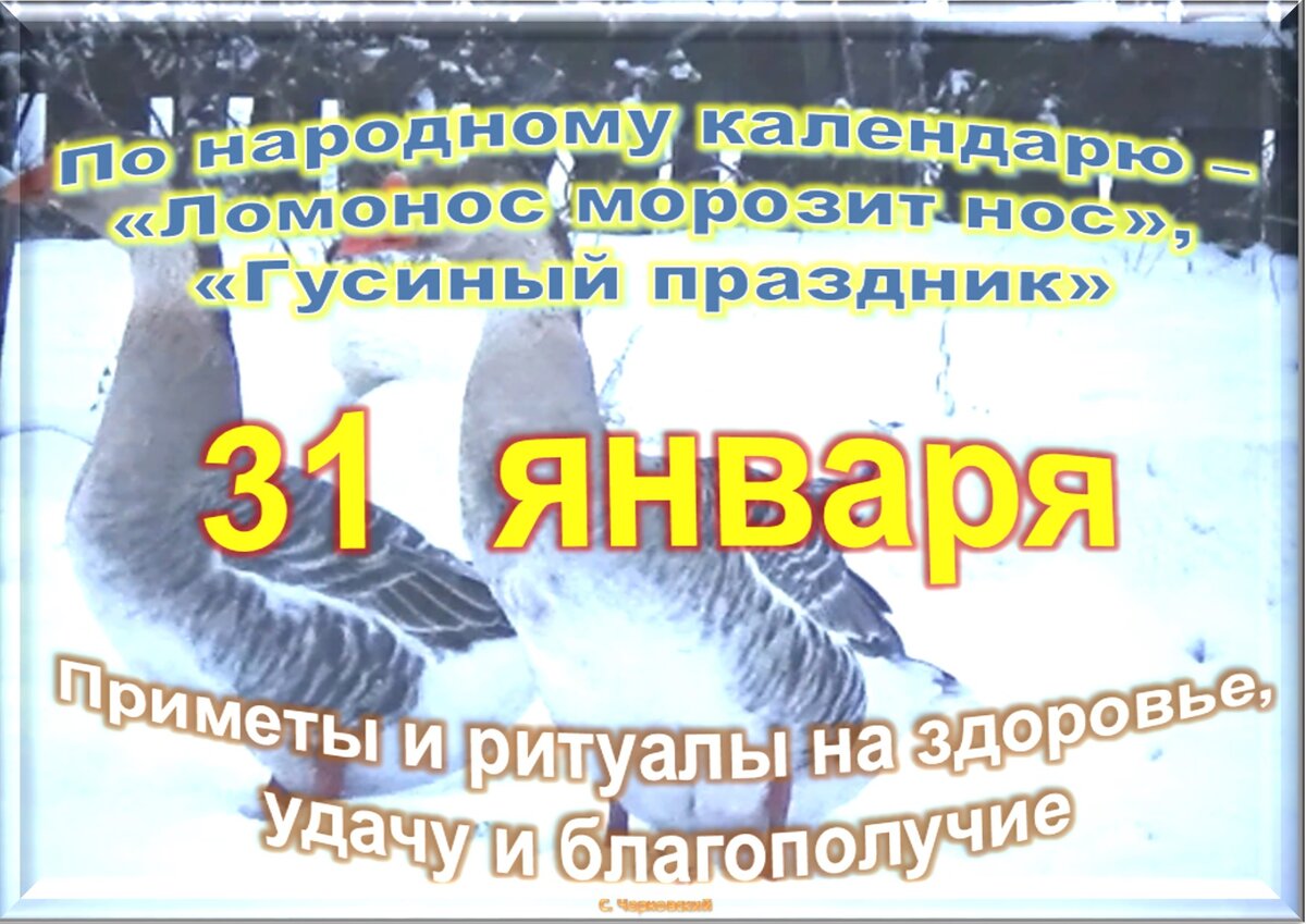 31 января день