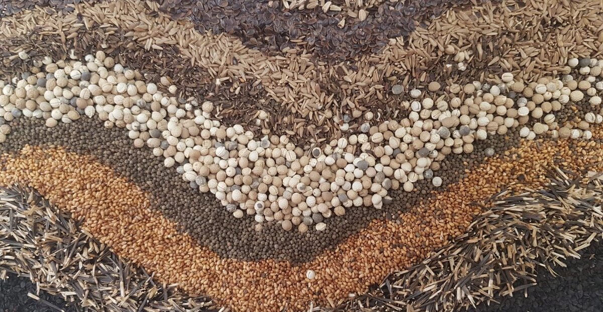 Фото из интернета 