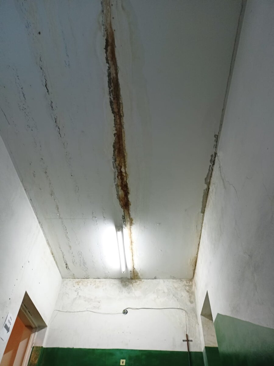    Отделение почты на Древлянке переехало в заплесневелое помещение на время ремонтаподписчик "Фактор News"