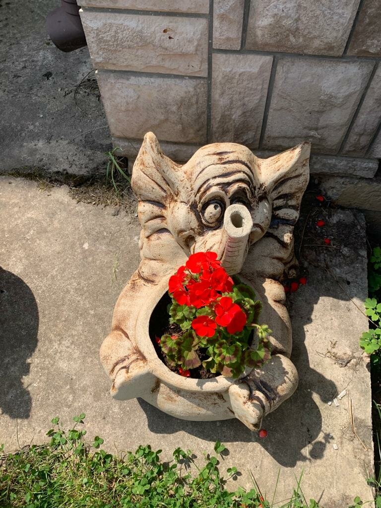 Вот такая красота благодаря органическим удобрениям