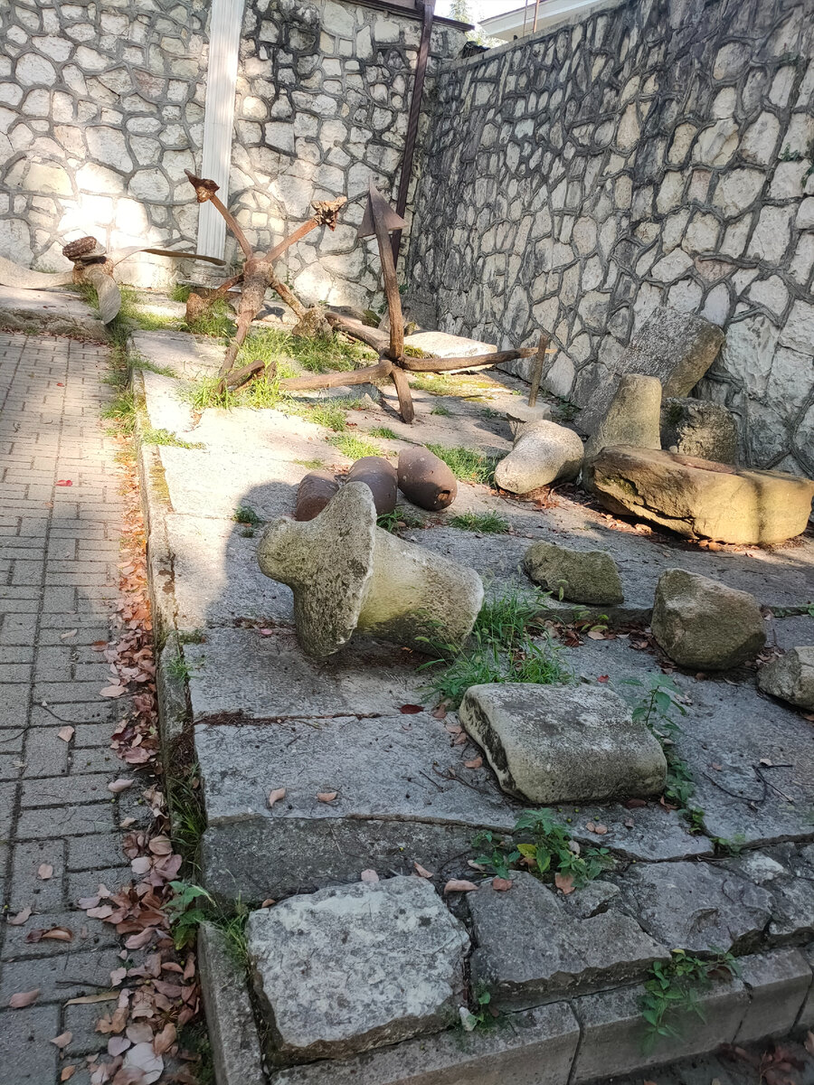 Если оказались в Сухуме, то сходите в ботанический сад, - рекомендовали мне туристы- он самый старый на Кавказе. Вот я отправилась посмотреть, что же там такое особенное есть.-1-3