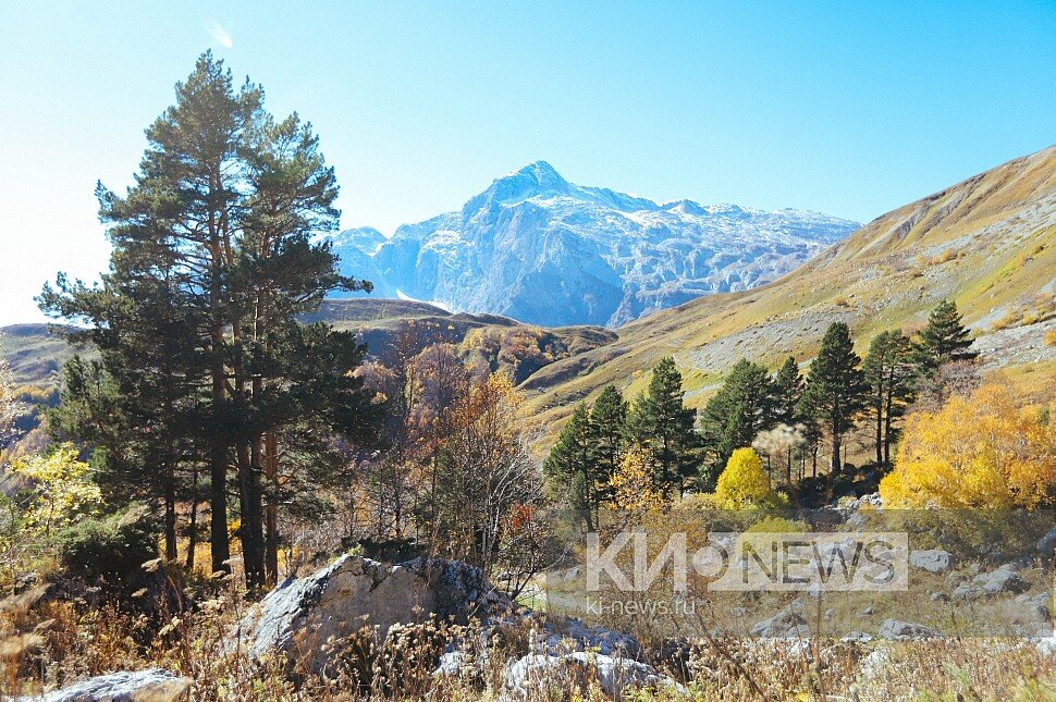 Хребет Фишта кавказский