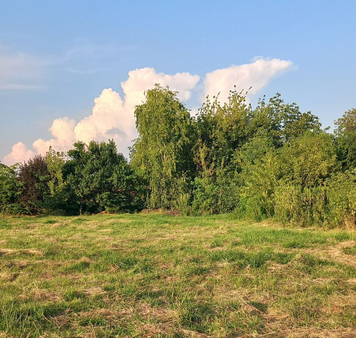 Фото из личного архива