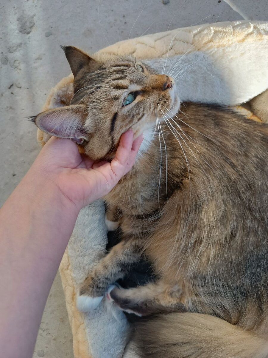 А была вот такая