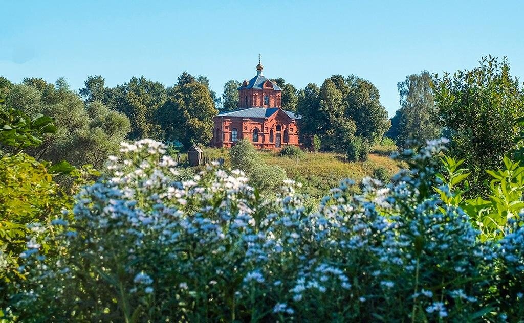 фото из открытого доступного источника сети интернет