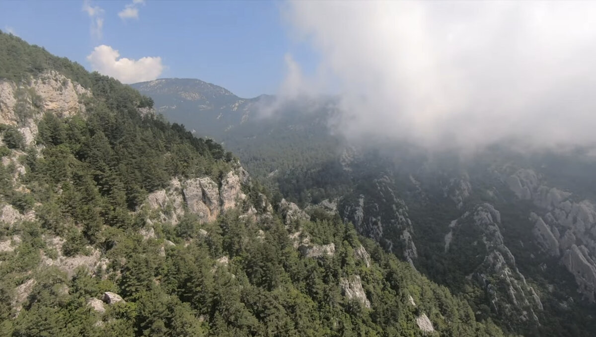 Вид из кабинки подъемника