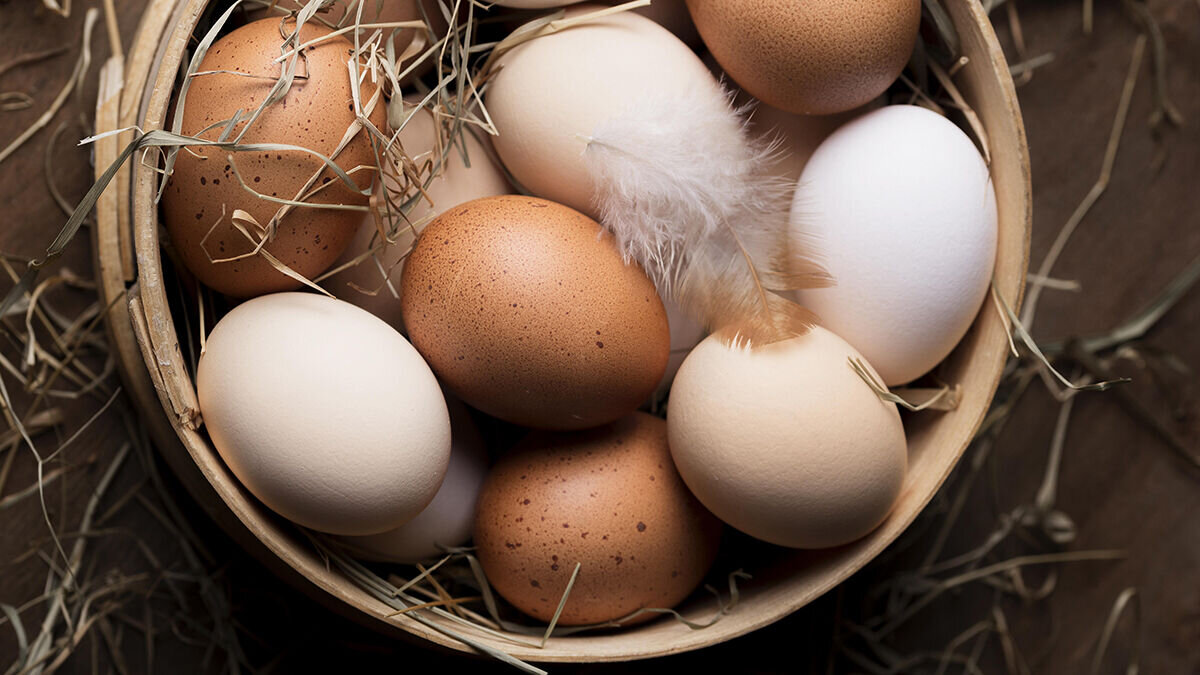 © photo credit by ru.freepik.com