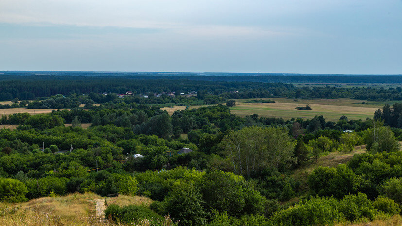   Gettyimages.ru Vladimir_Timofeev