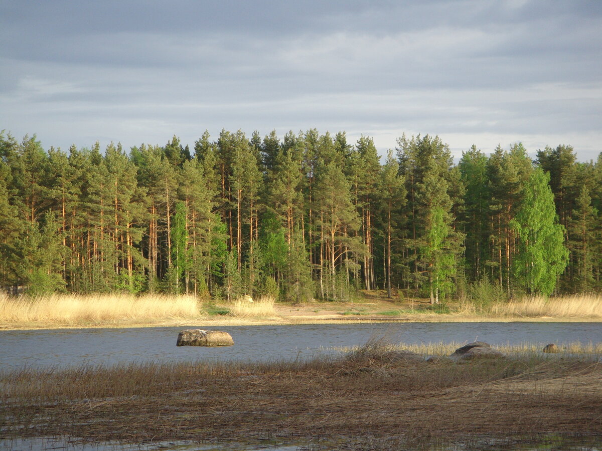 Фото из архива автора.