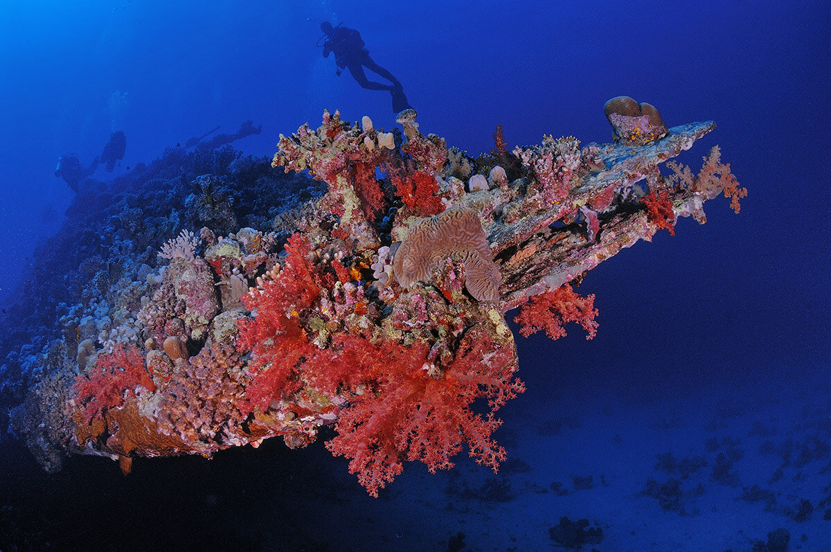 Кабели связи в красном море. Риф Абу Нухас. Красное море. Коралловые рифы на карте красное море. Коралловые рифы для кораблей в старину.
