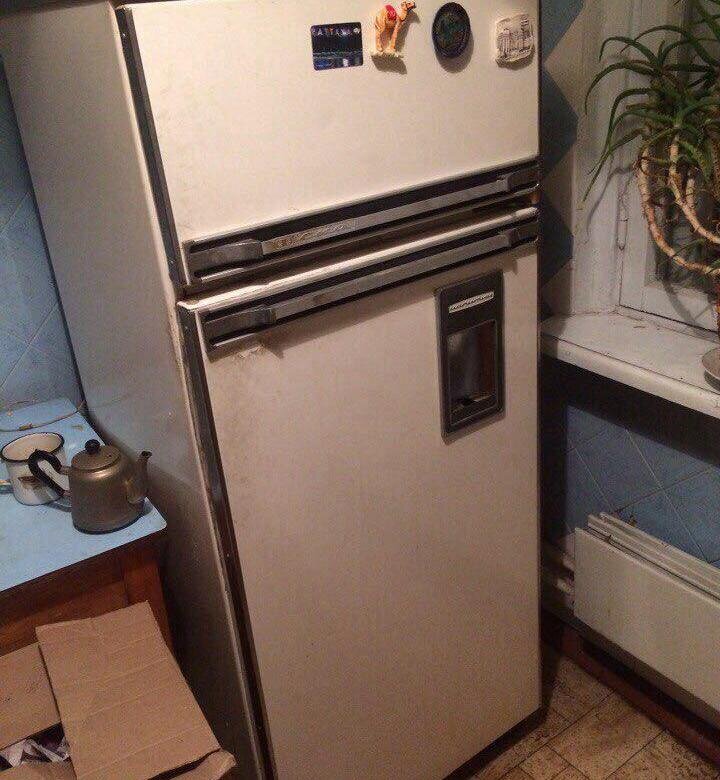 Вот такой красавец на работе 