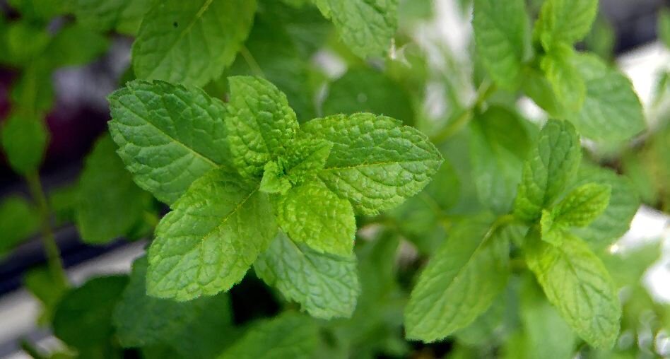 Подписывайся и ставь лайк!