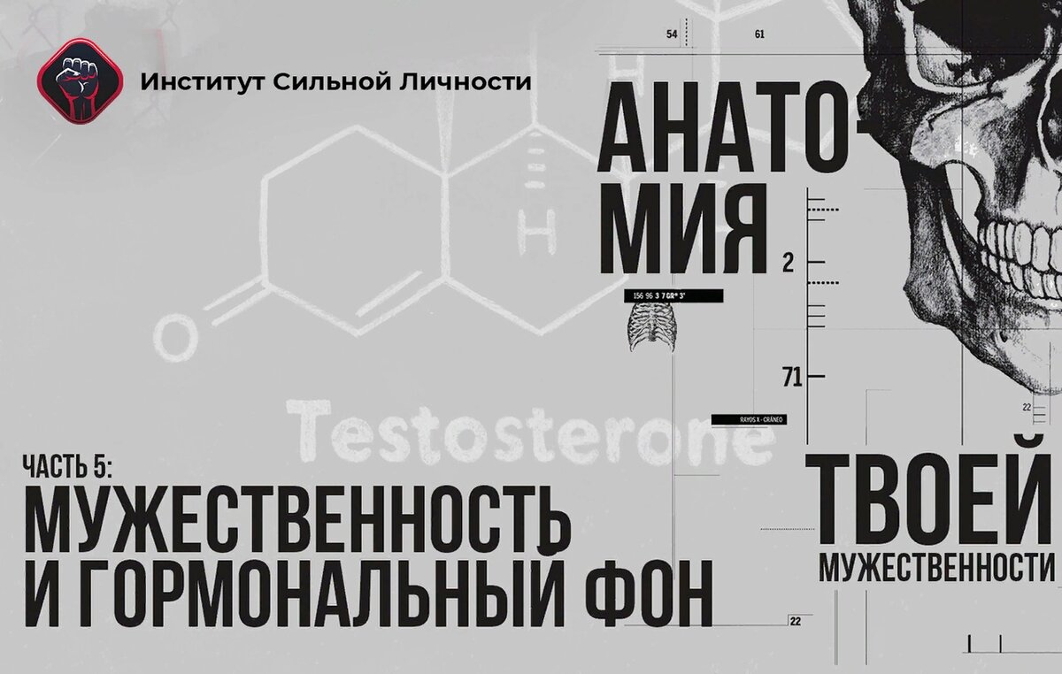 Фото взято из открытых источников