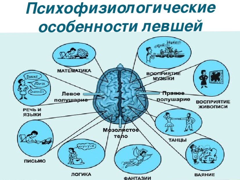 фото из открытого источника