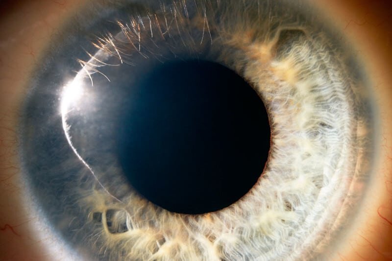 Источник: https://www.newscientist.com/round-up/what-is-consciousness/