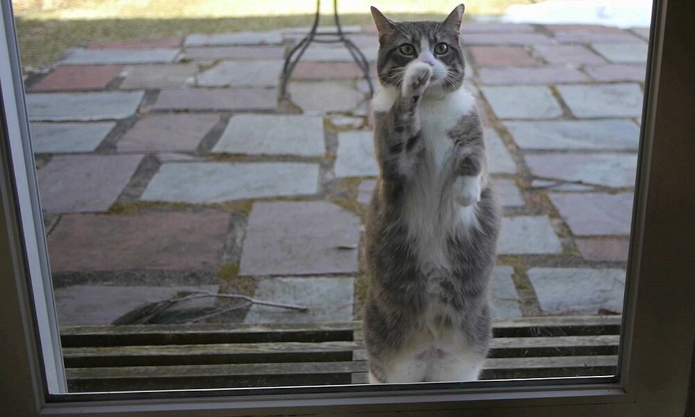 фото  из открытого  источника.