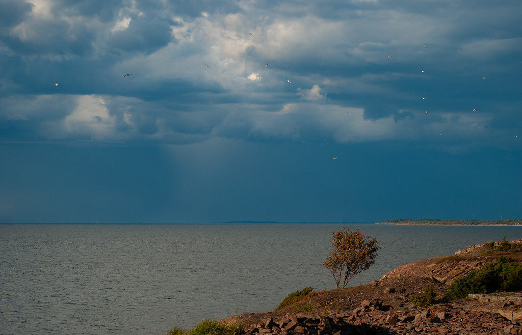 Дождь на Балтийском Море, Уппсала, Швеция