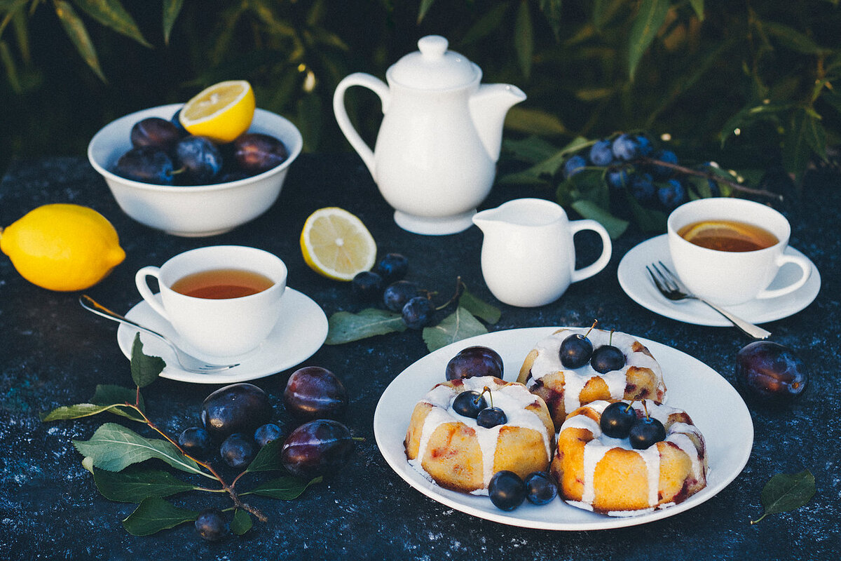 Фото с сайта http://ru.wilmax.club 