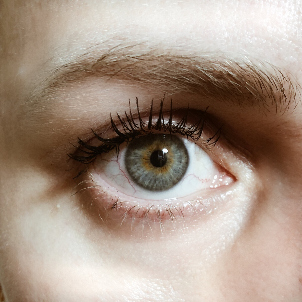 Фото сделано мной. Тушь Гурмандиз