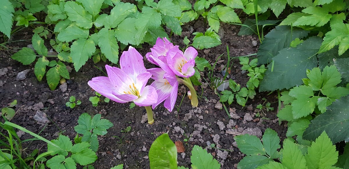 К сожалению, нет фотографий по теме. 