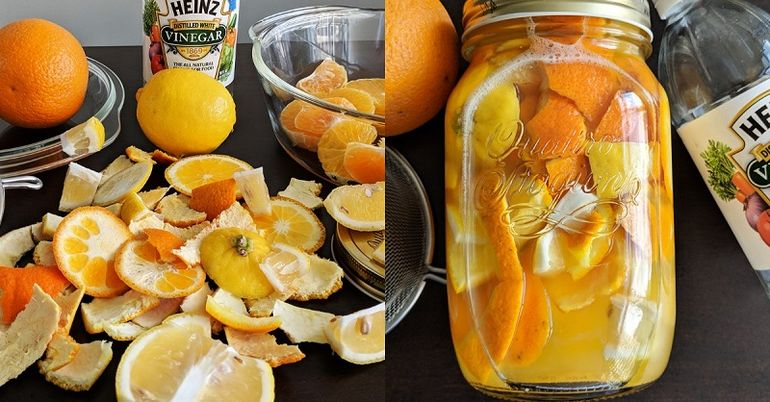 Фото взято с сайта https://cemicvet.mediasole.ru