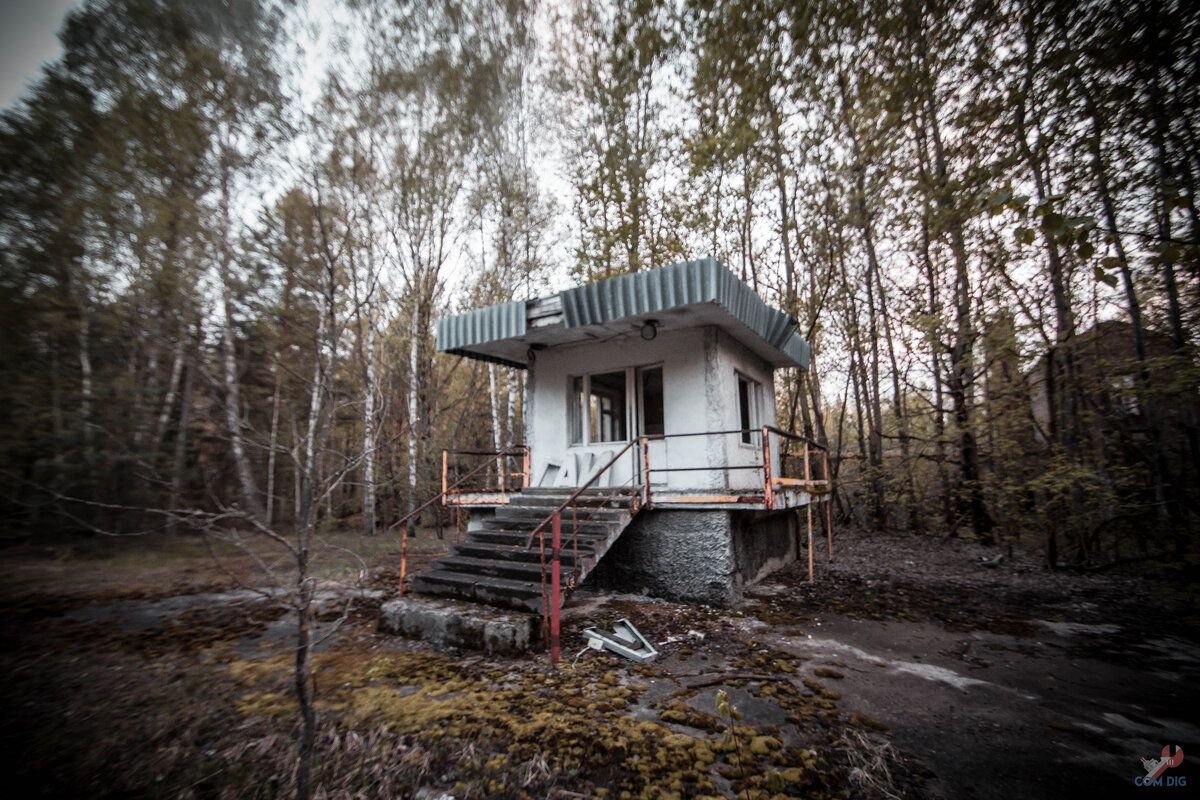 Припять Новошепеличи. Село Новошепеличи Чернобыльского района. Новошепеличи Чернобыль. Лесхоз Новошепеличи.