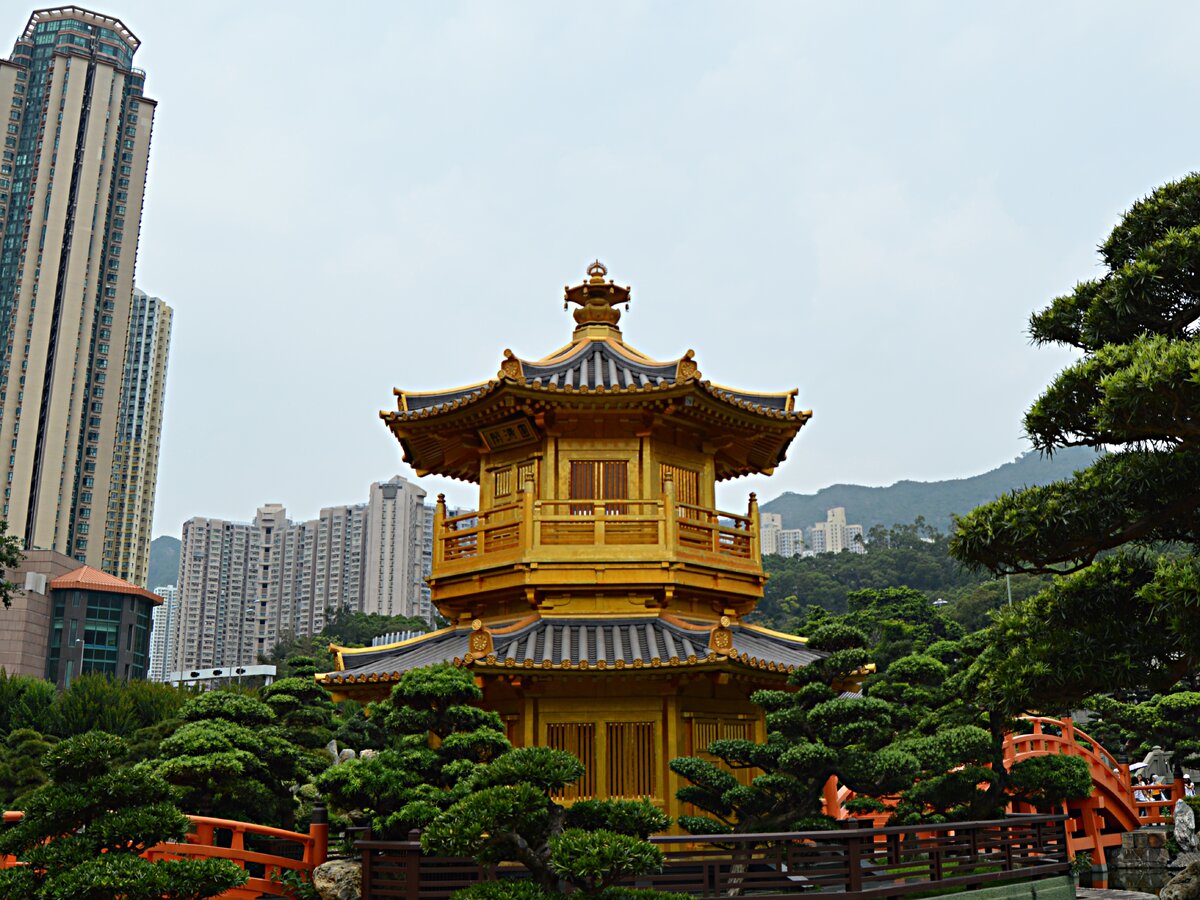 Маленький дракон - прекрасен