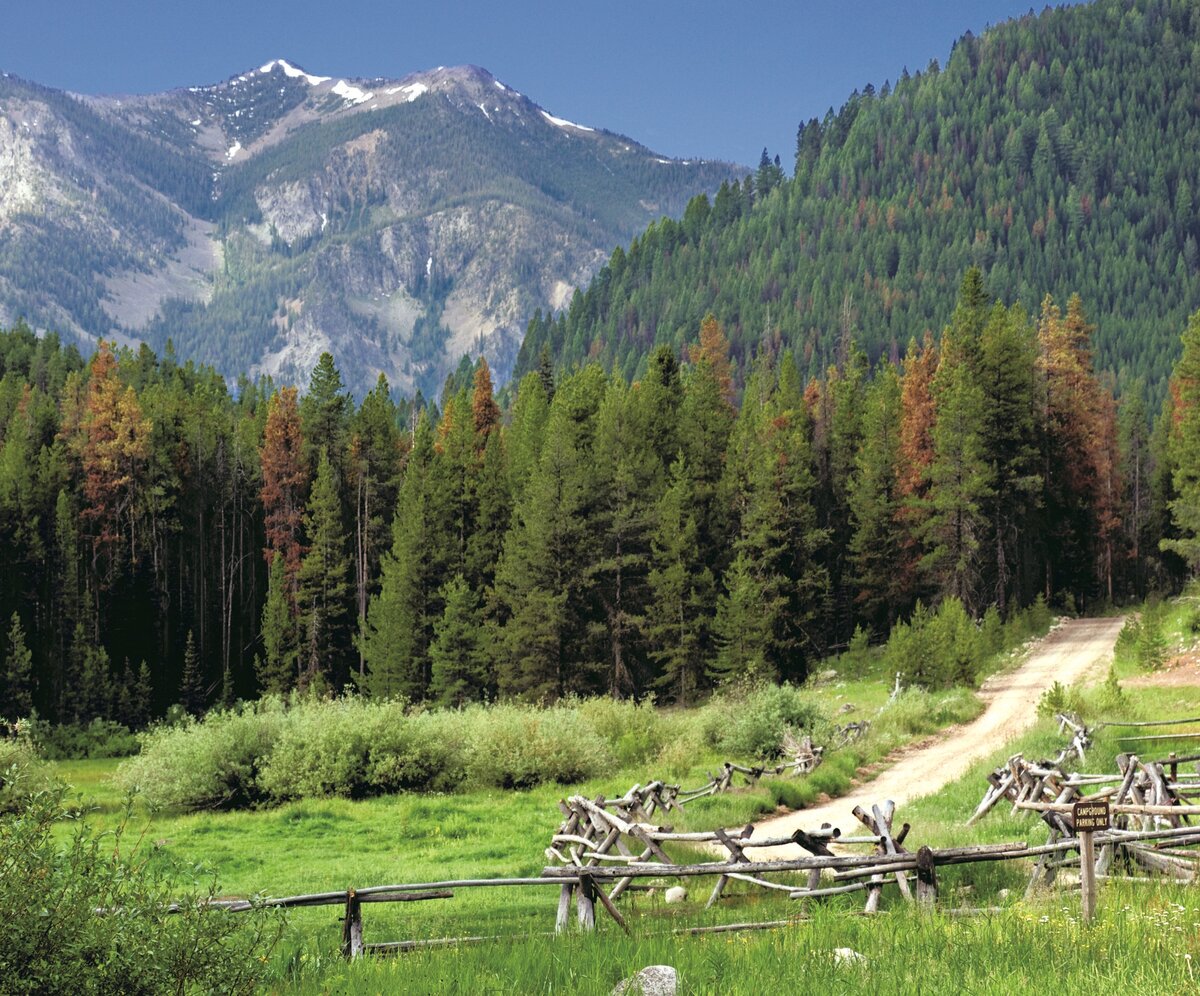 https://www.firestock.ru/priroda-nature-4/