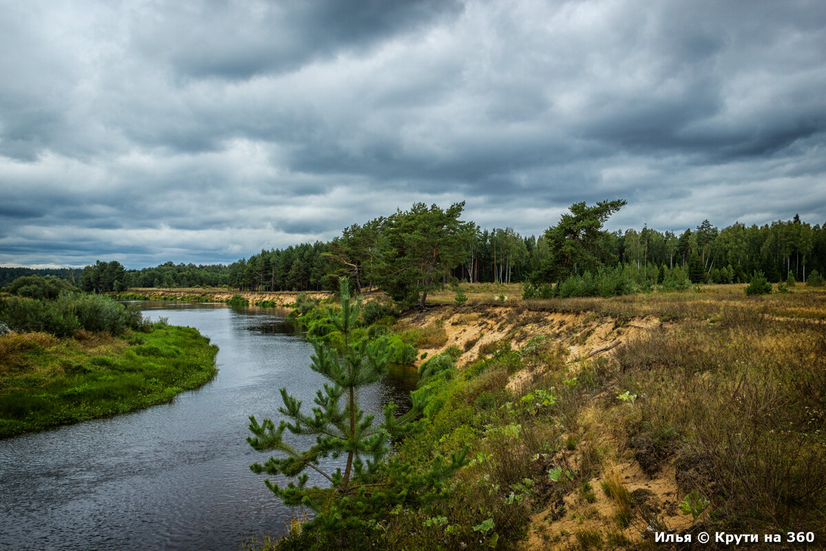 Река Молога, Максатихинский район, Тверская область.