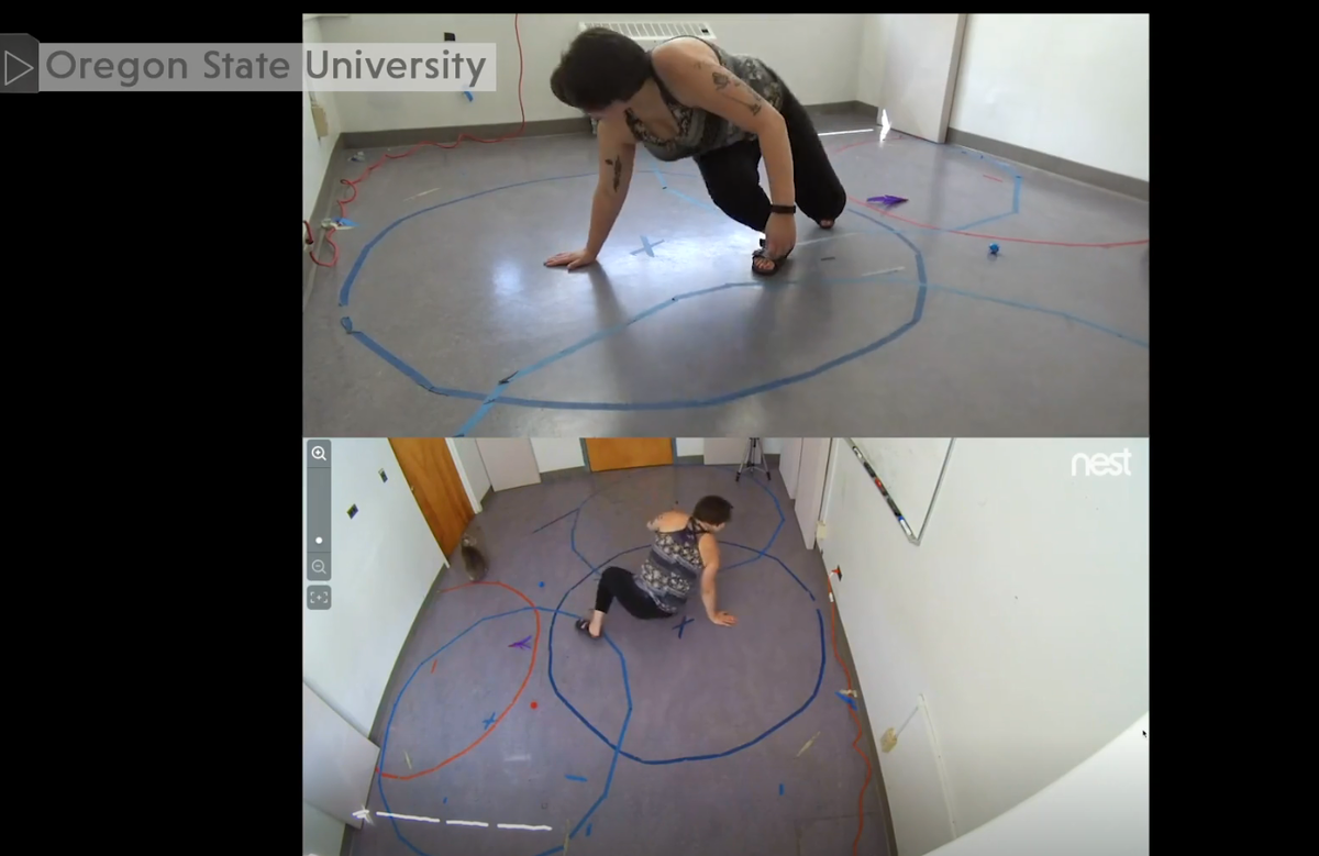 Источник: https://gizmodo.com/cats-really-do-bond-with-their-humans-study-finds-1838297248.