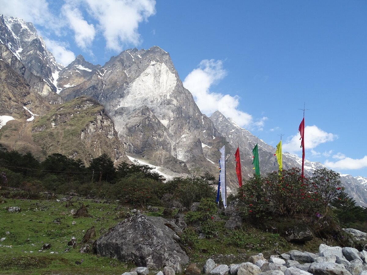 Сикким. Буддийские флаги у горной дороги.