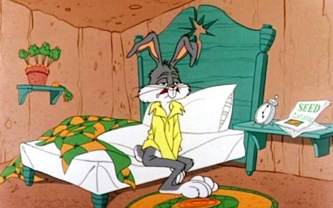 период беременности у женщин.