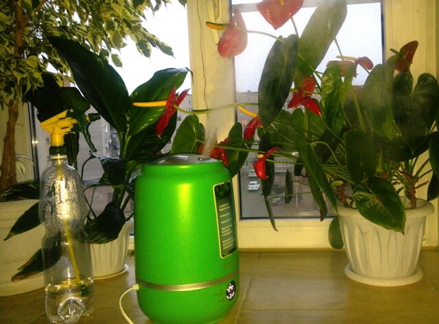 Как повысить влажность воздуха для комнатных растений: 5 рабочих способов | конференц-зал-самара.рф