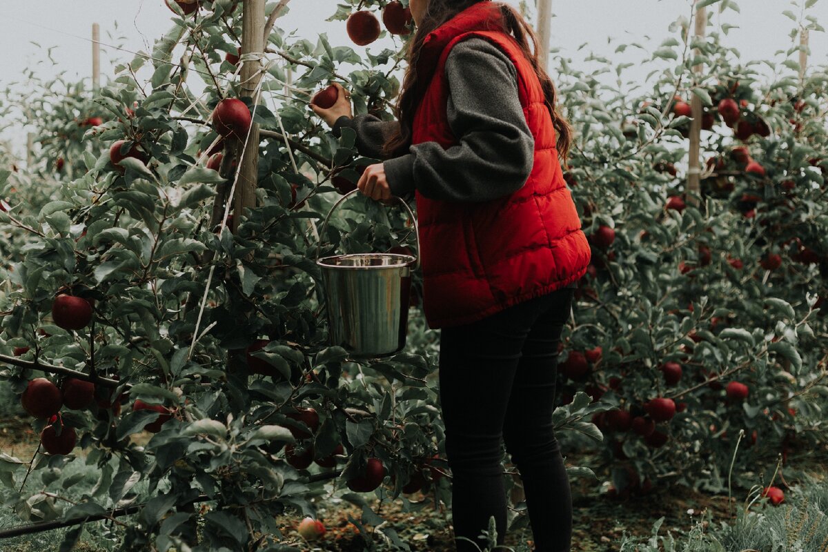 https://unsplash.com/photos/XgoHMMkE02I