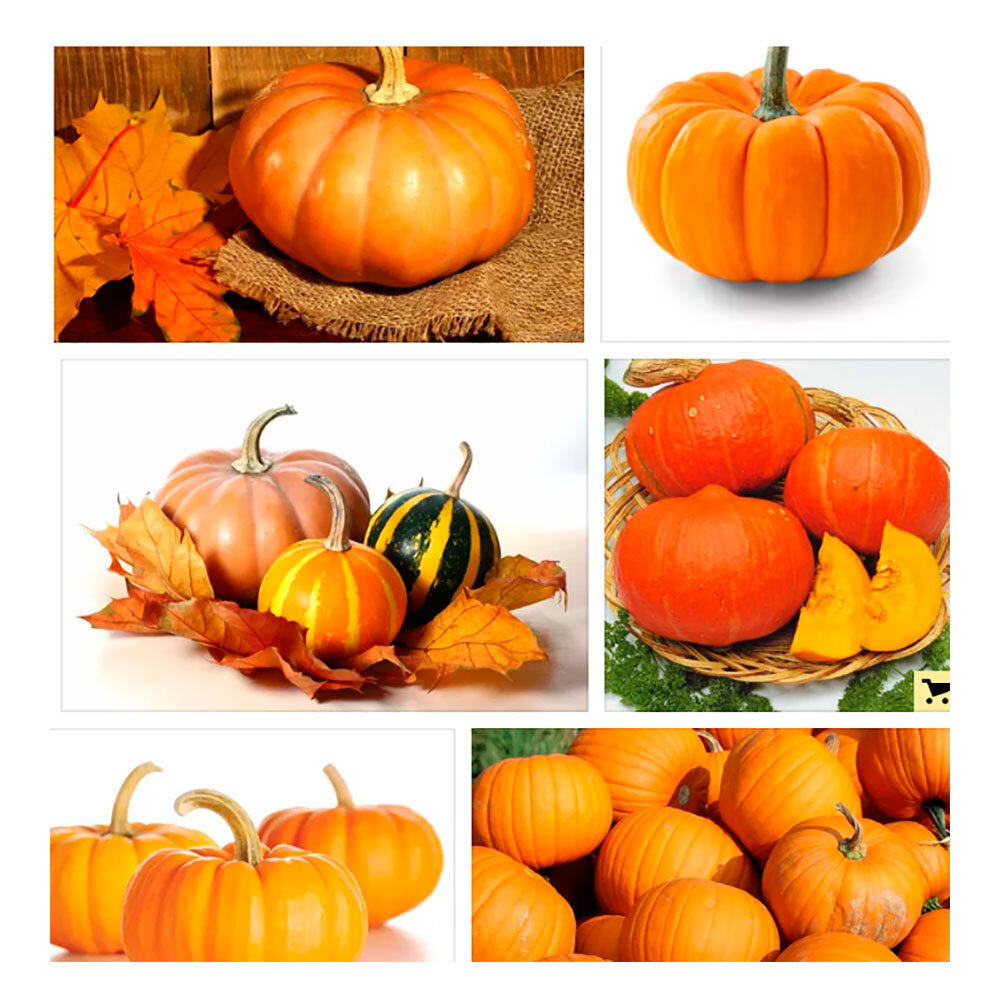 Скрин с Сервиса Яндекс.Картинки