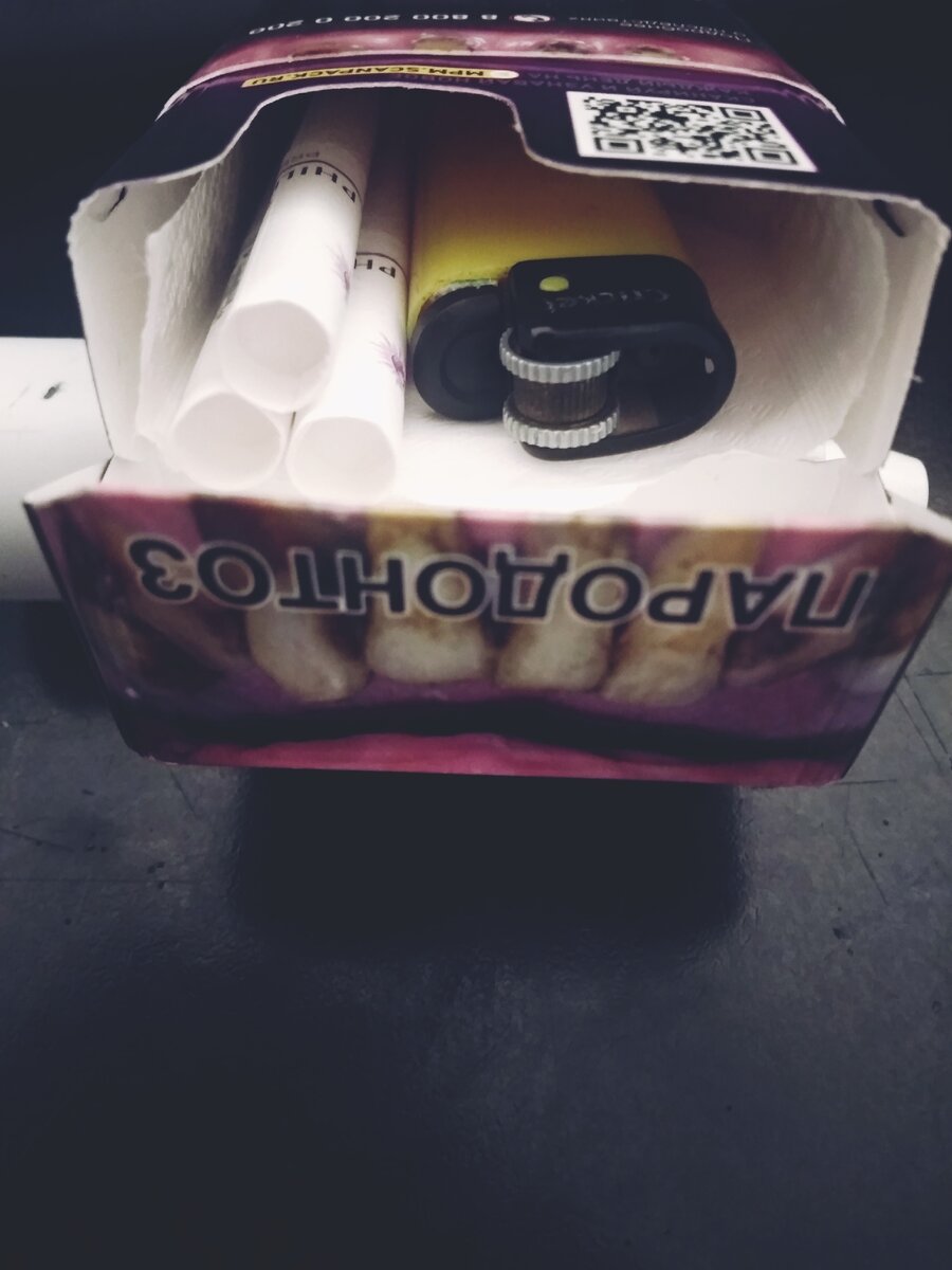 фотография автора