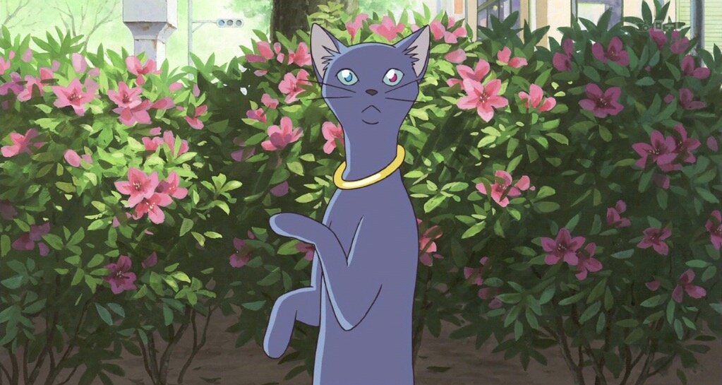 Эмоциональное воссоединение