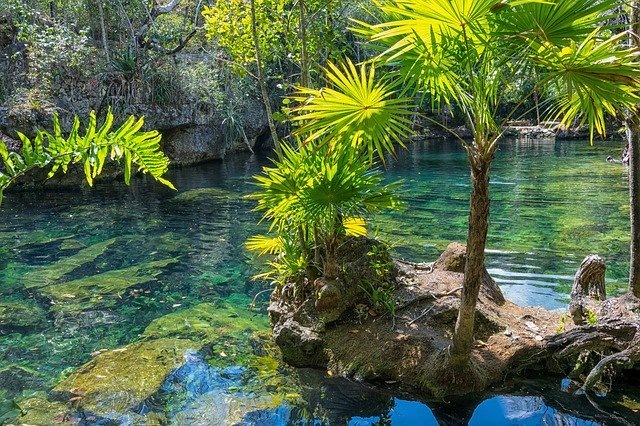 https://pixabay.com/ru/photos/мексика-юкатан-cenote-природы-лето-2145712/