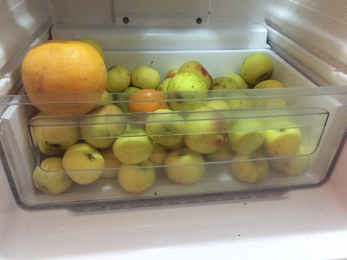 Фото из моего холодильника.Данные яблоки лежат с начала сентября.Сейчас ноябрь.