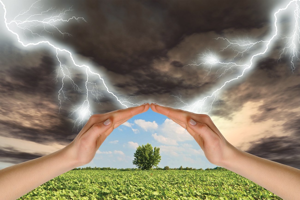 Фото: Яндекс картинки.