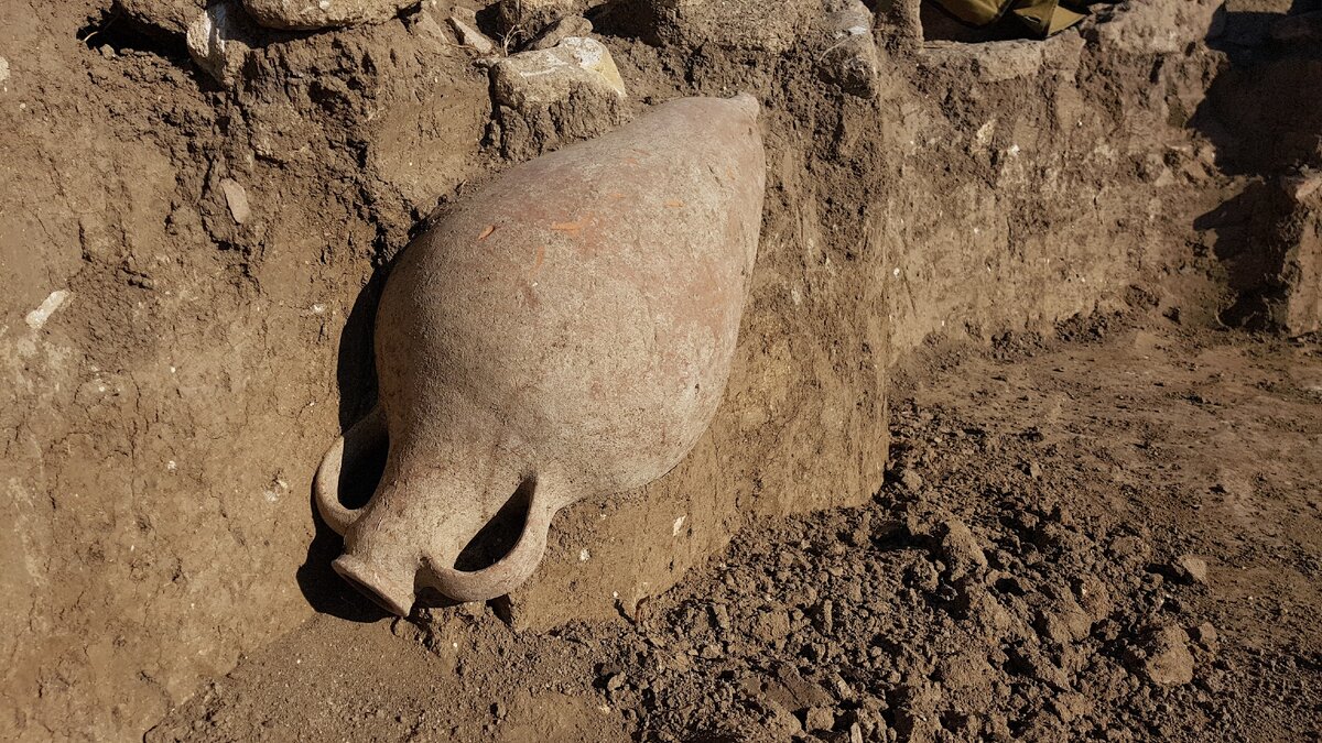    Рядом с одной из хозяйственных ям усадьбы нашли амфору приблизительно IV–II веков до н. э. 