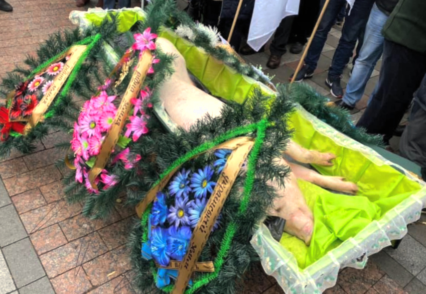 #новости #укриана #скандалы 