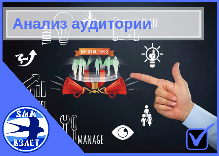 Анализ целевой аудитории - пример описания