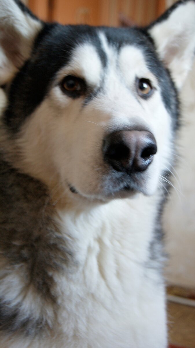 это не я раскидал - оно само!