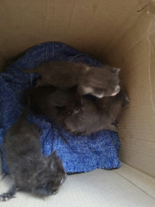 Фото взято из открытого источника для иллюстрации статьи