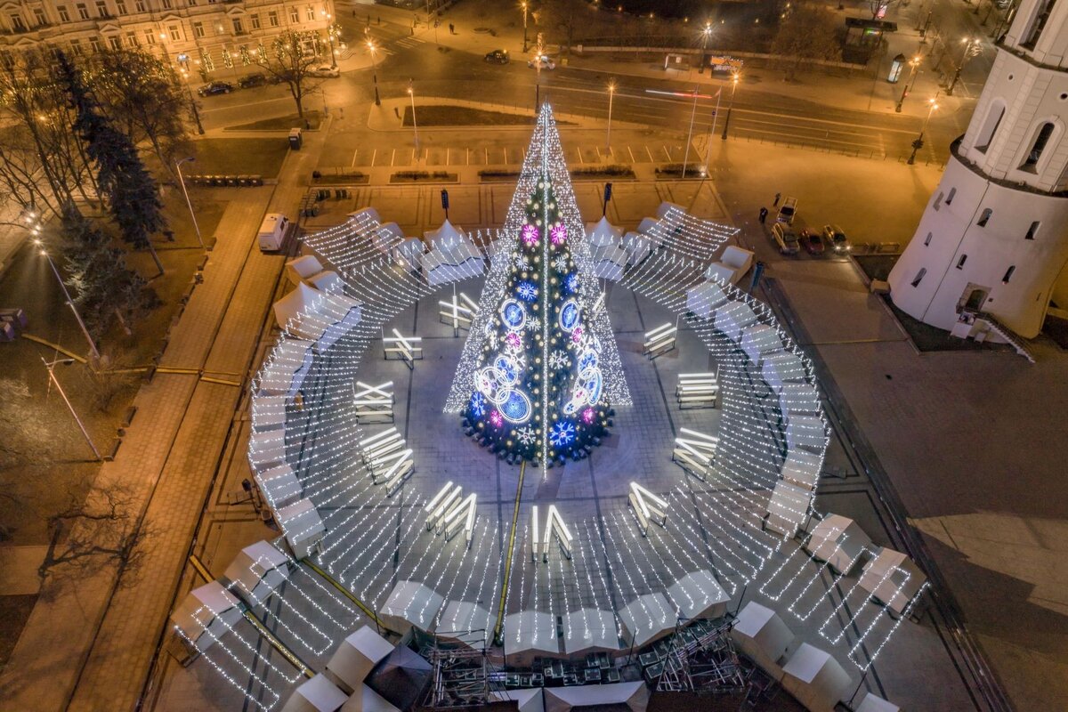 Фото елки сверху