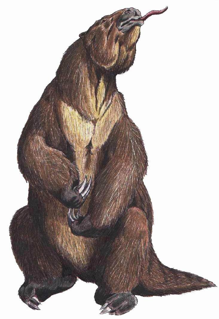 Ленивец МЕГАТЕРИЙ. Гигантский Ленивец (Megatherium americanum). Древний Ленивец МЕГАТЕРИЙ. Доисторический МЕГАТЕРИЙ.