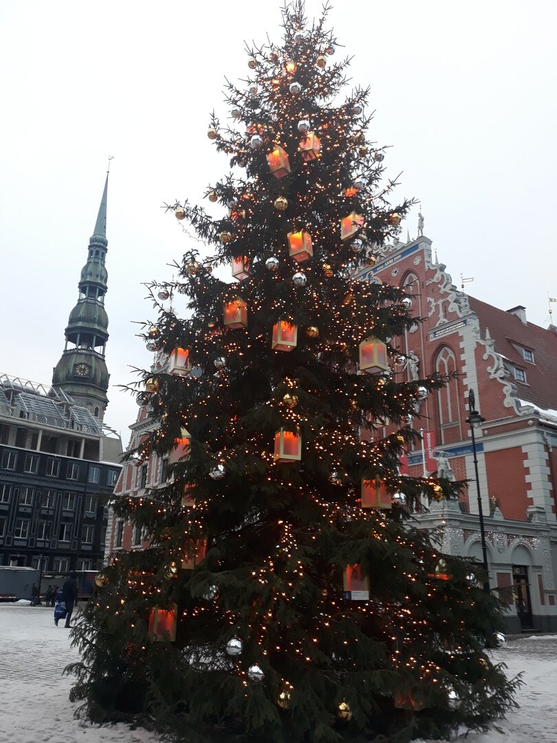 Новогодняя ёлка перед Домом Черноголовых в прошлом году.