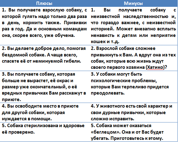 Плюсы и минусы собак. Минусы собак. Плюсы и минусы собаки. Плюсы и минусы собаки в квартире. Плюсы и минусы собаки в квартире таблица.